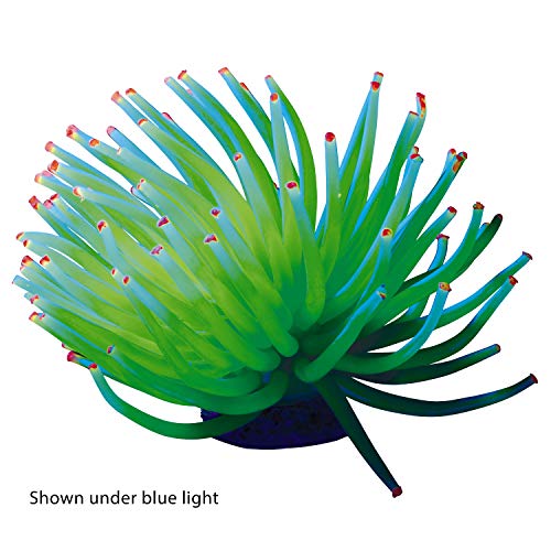 GloFish Anemone Decoration - Aquarium Ornament with Glowing Impact (Single Pack)