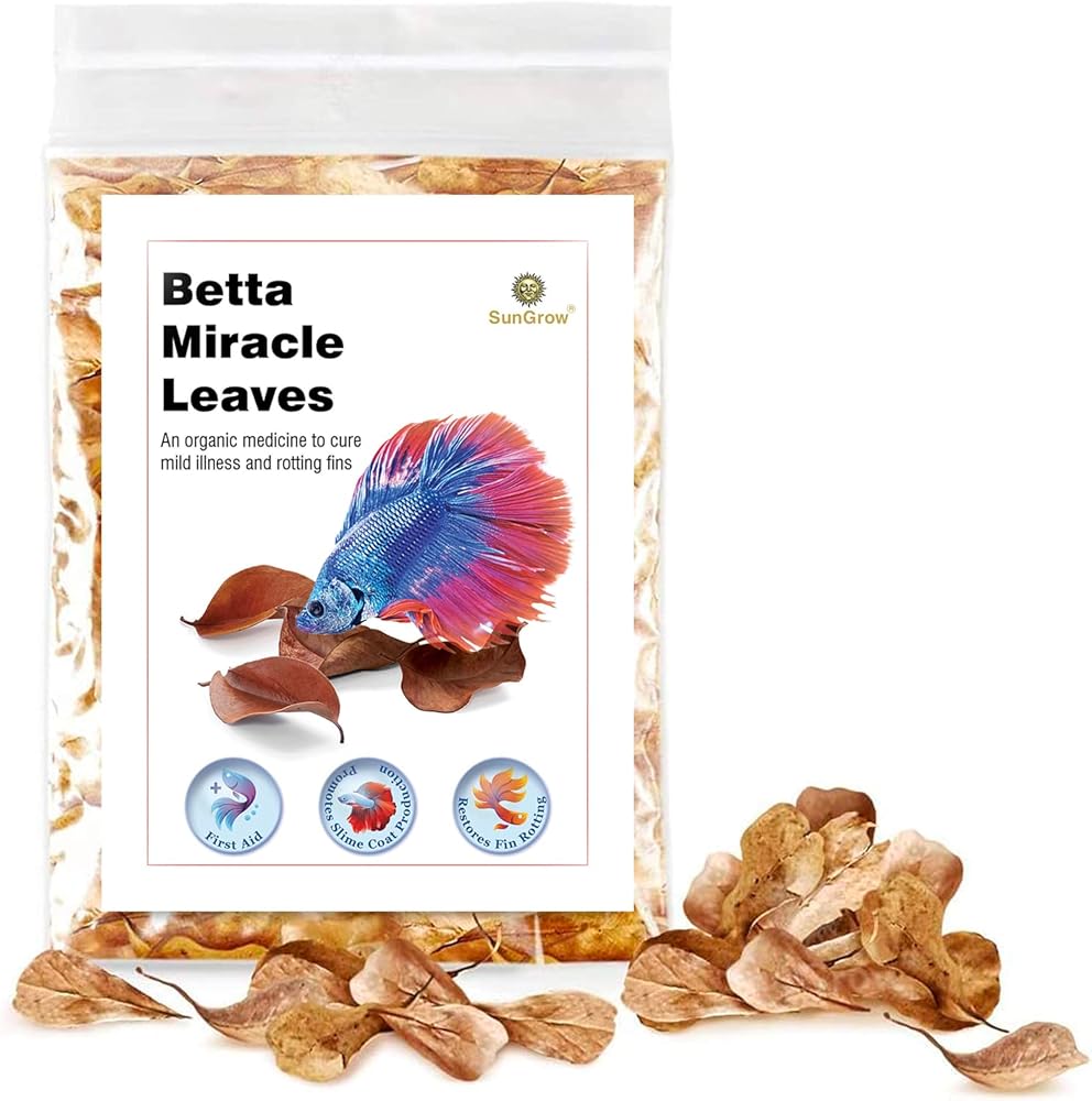 SunGrow 50 Pack of Catappa Indian Almond Leaves for Betta Fish Tanks – 2” Water Conditioning Leaves, Ultimate for Shrimp, Goldfish, Guppies, and Frogs